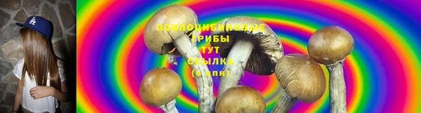 дурь Балахна
