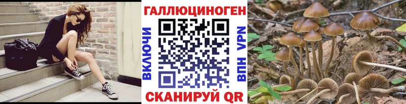 нарко площадка телеграм  Сортавала  Псилоцибиновые грибы GOLDEN TEACHER 